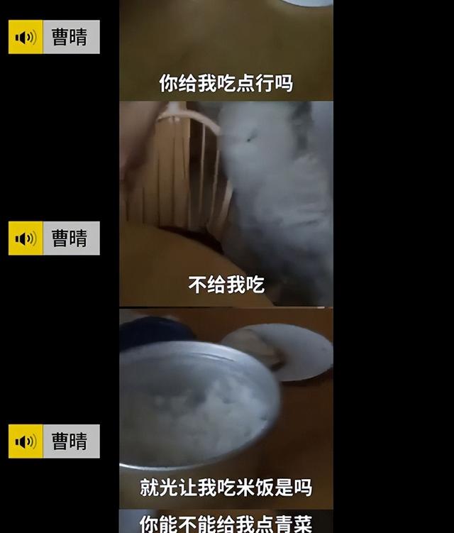 吃狗食、关禁闭	，央视前才女国外被虐成“人干”？董卿想救她都难