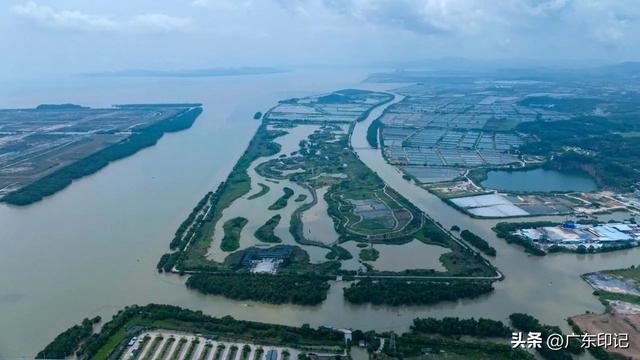 珠江三角洲水系：聚三江之水，经八门入海