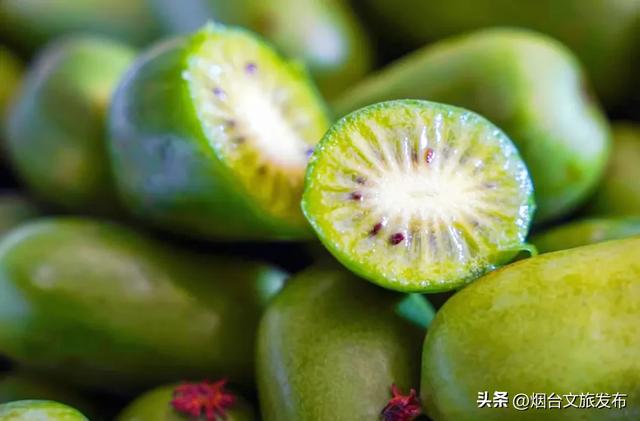 【乐游烟台】高铁直达!烟台被低估的神仙小城,太安逸了