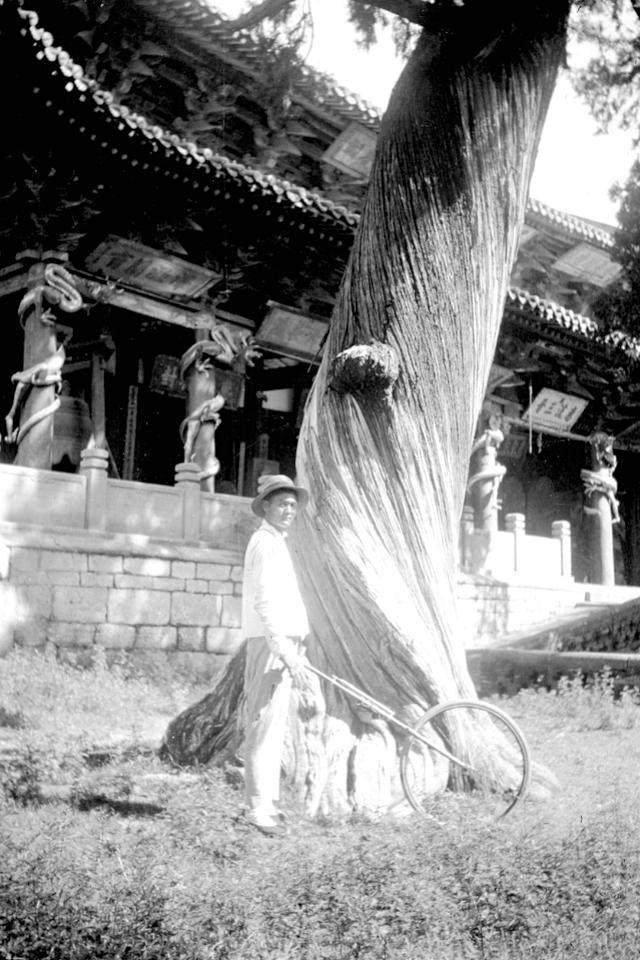 旧影专辑：中国古代文化博物馆 山西