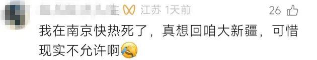 伊昭公路“八月飞雪”全网刷屏！当地相关部门回应→