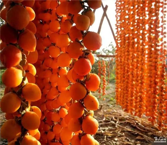 王成：革命圣地延安迎来高铁新时代