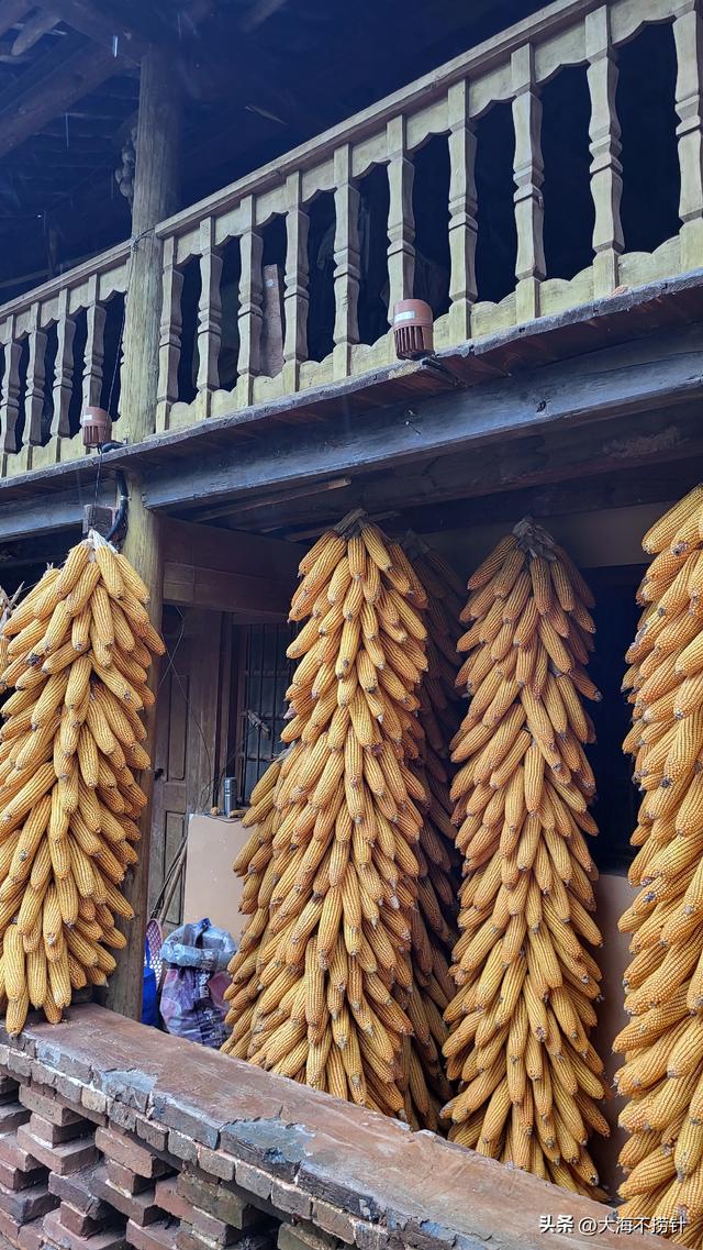 云南行·记·红河州篇之弥勒五日超短旅居——美丽悠闲宜居宜康养