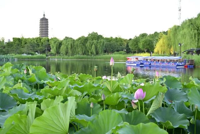 北京市通州区西海子公园游船开航！童年小船回来啦~