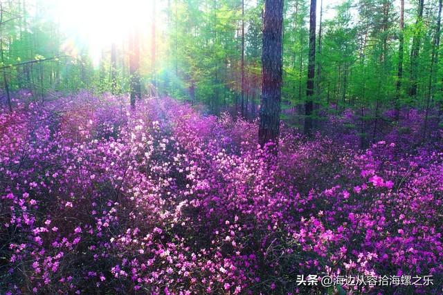 两性之间，女人愿意让你摸她这两个地方，其实就是在默默表白