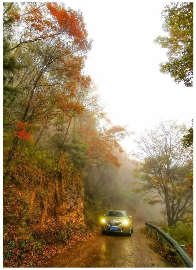 利州＝梦幻秋色打卡地