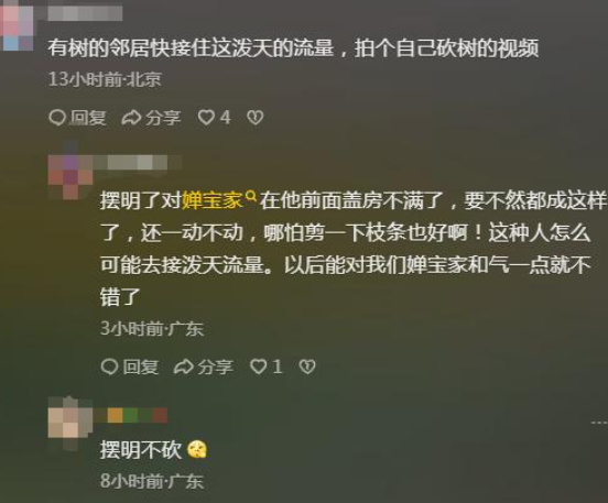 全红婵家建房再受阻后续！越界大树“挡路”不让砍，邻居终于妥协