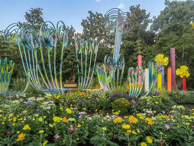 11月30日:2025年上海菊花展华丽登场