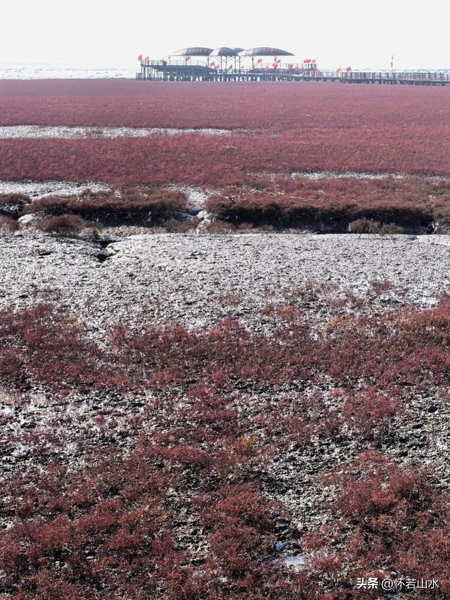 2025辽宁赏秋之旅日记(5)——从本溪前往盘锦 游览红海滩景观
