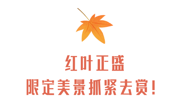 我竟然发现，唐家河红叶居然如此好看！