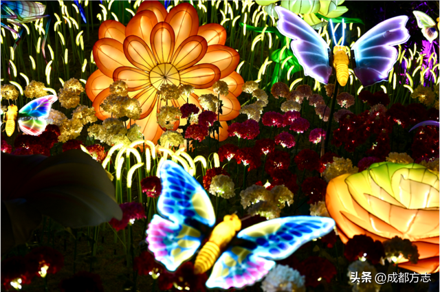 近10万平！首届非遗千灯游园会来了！4号线直达→