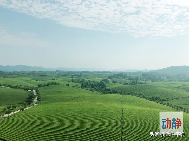 从三个全国第一看 “两山”转化的贵州路径