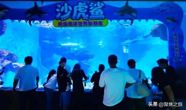贵州极地海洋世界国庆期间日均迎客超5000人