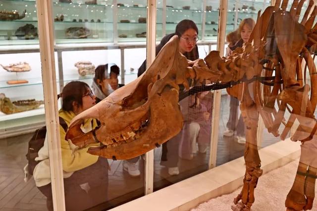 藏品20万+，这座博物馆“看宝”又“出片”！