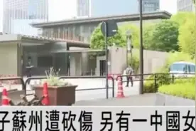 苏州惨案揭开真相，中国女子遭遇噩梦，嫌犯身份大揭秘"是否真实图片