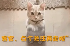 《斗罗大陆》全集_第01篇图片