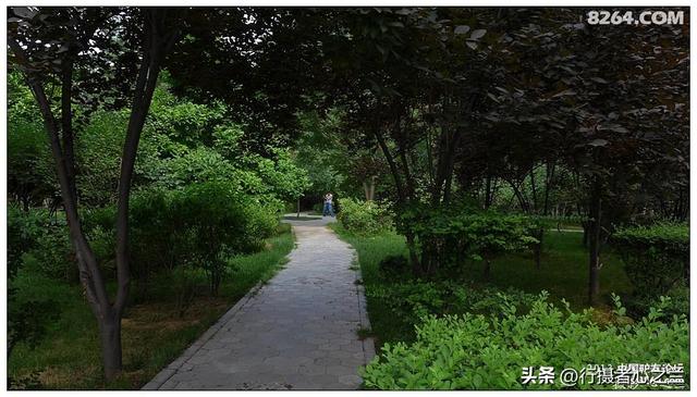 山东行游影记（17）—济南山东大学（四）