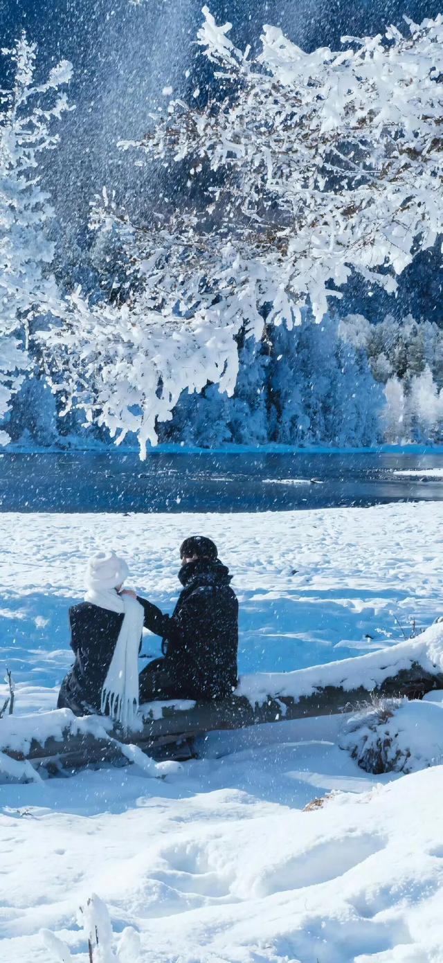 冬至快乐～盼一场大雪，而后春归