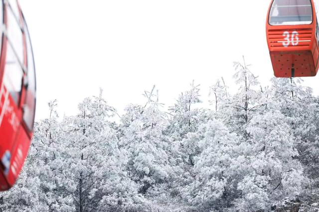 滑雪盛宴！龙里油画大草原冬日狂欢指南
