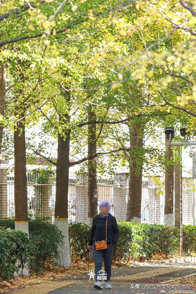 大降温后，青山最美冬景即将上线！