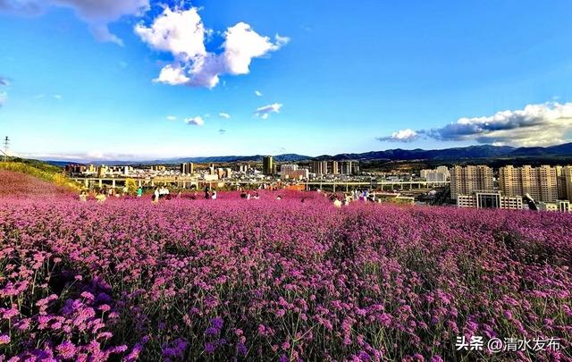 【醉美金秋 “乡”约清水】“双节”出玩指南 | 清水生态康养休闲之旅攻略来啦！