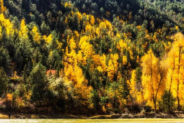 直击梅里雪山日照金山！太子十三峰云雾缭绕，仙境不过如此