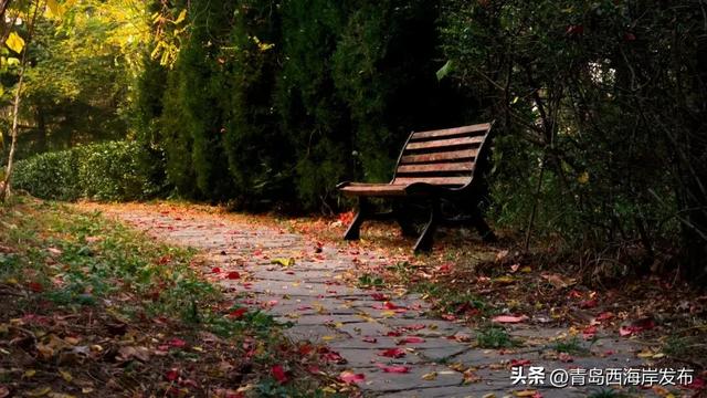 走不出这画了,我已被西海岸的秋景迷倒 🥹