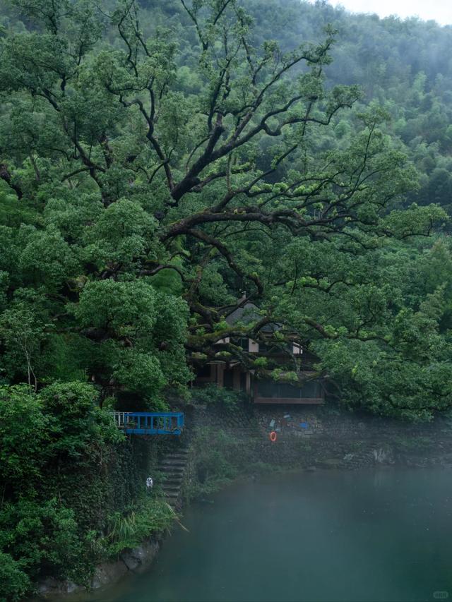 国庆不想看人海？江浙沪这9个私藏的观景平台，值得！