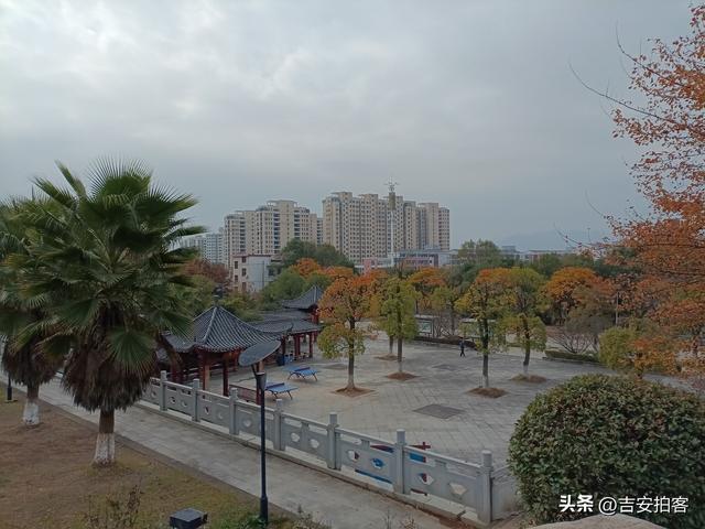 美丽吉安之安福：蒙岗岭公园初冬风光欣赏