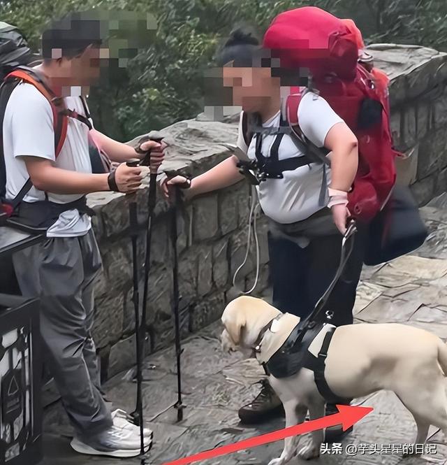 带导盲犬爬山后续：女主渴望被理解，坦言自己没错，澄清不是夫妻
