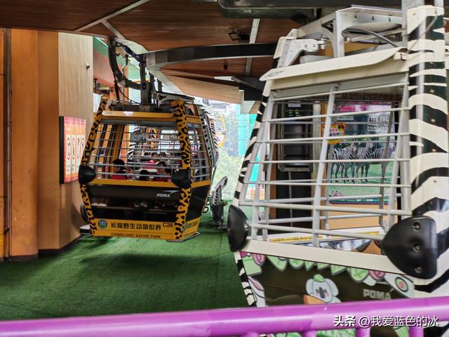 参观广州长隆野生动物园，全程感觉眼累手累腿不累