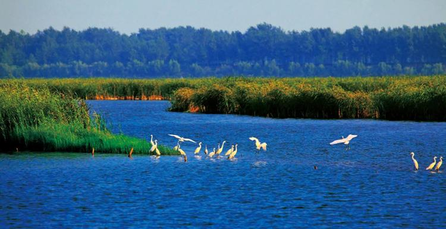秋冬来单县，喝“天下第一汤”，逛“天下第一坊”！