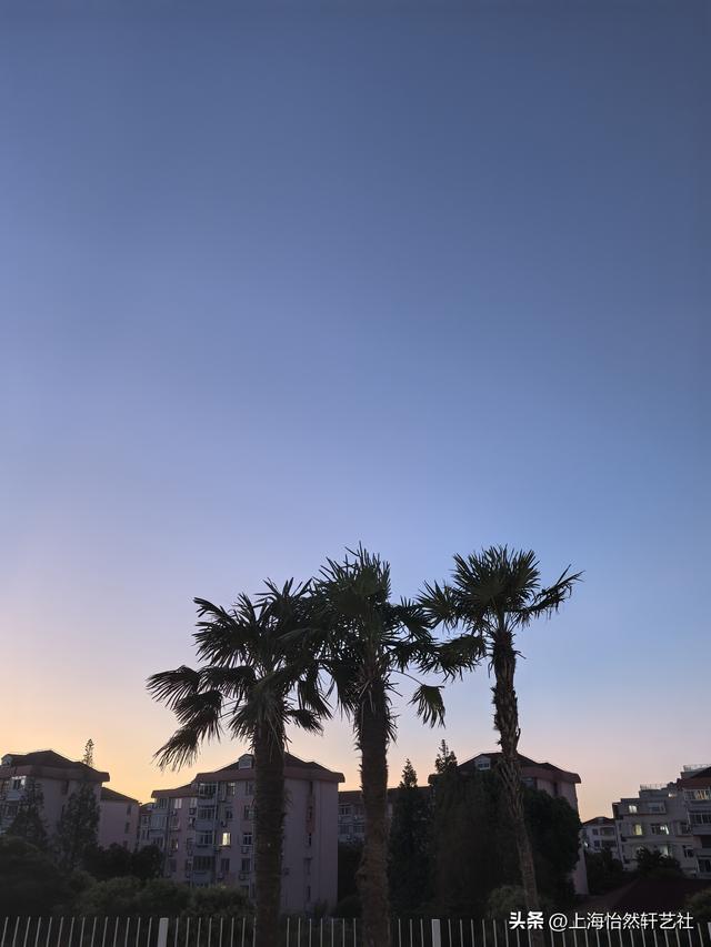 平豪视点Ⅱ上海金山城市沙滩，湛蓝的海，酷暑中的避暑港湾