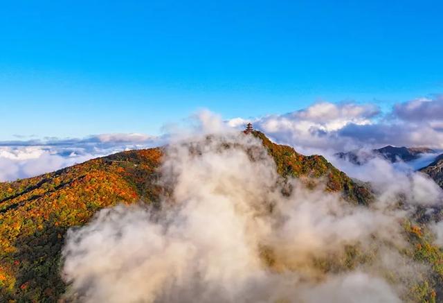 赏秋正当时！自驾来汉中，赴一场秋日视觉盛宴~