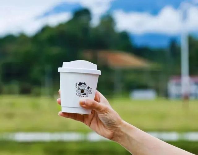 推窗见黄山：徽韵山景，揉进初冬 | 皖美冬日 | 第十五届安徽国际文化旅游节