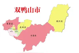 黑龙江省双鸭山市8县(区)概况图片
