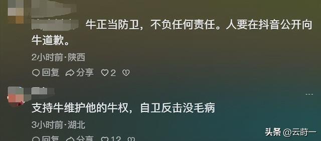 游客徒步遭牛群踩踏后续：景区回应，真相曝光后，网友直呼太活该