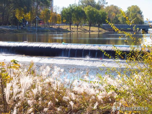 【乐游烟台】最新实拍！烟台鱼鸟河“顶级秋色”加载中