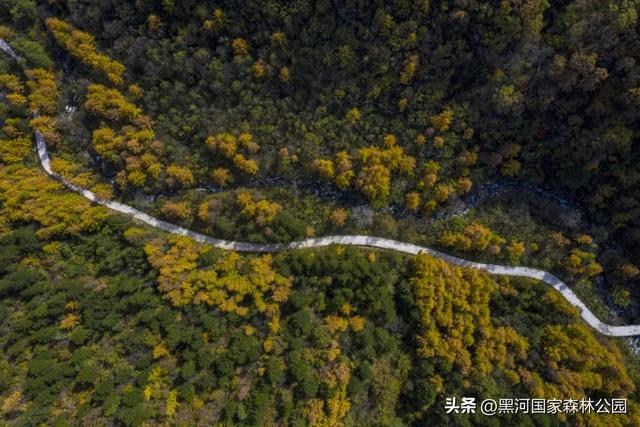 黑河的美,一直都在 | 云游黑河的秋日画卷