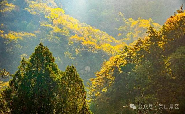 千万别在秋天来泰安，不然真的很难戒断