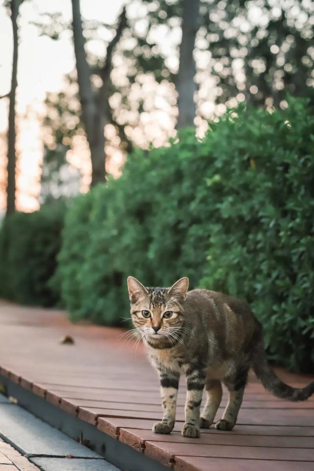 冬日暖阳里，来丰泽这儿享受惬意时光……