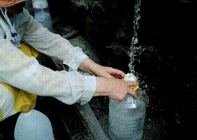 一城山色半城湖，这座城市的美不仅限于冬季！