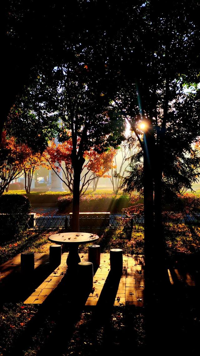 打卡定州限定秋景！