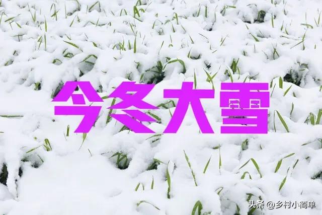 明日九月初九,老人说“下雪不下雪,就看九月初九”,今冬大雪?