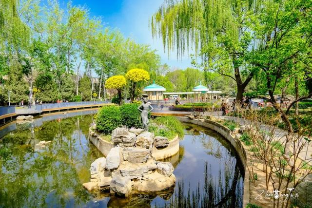 2025暑期特别企划之来石景山「 一起逛公园 」