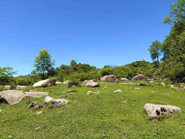 陇南市礼县炕眼门：藏在大山褶皱里的秘境牧歌