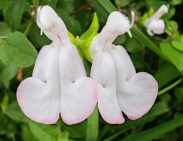 繁花似锦的秋天