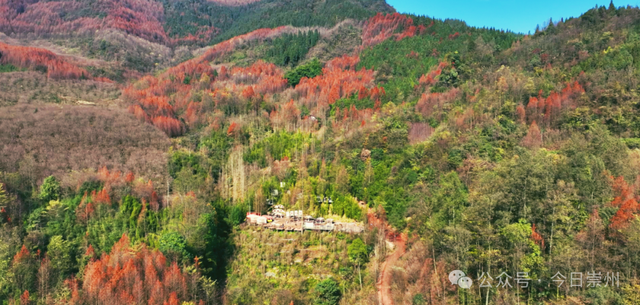 秋假去哪？崇州这些亲子游宝藏地不容错过