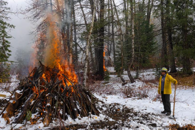 被裁数百人！特朗普裁减林务局岗位，人手告急致防火系统拉响警报
