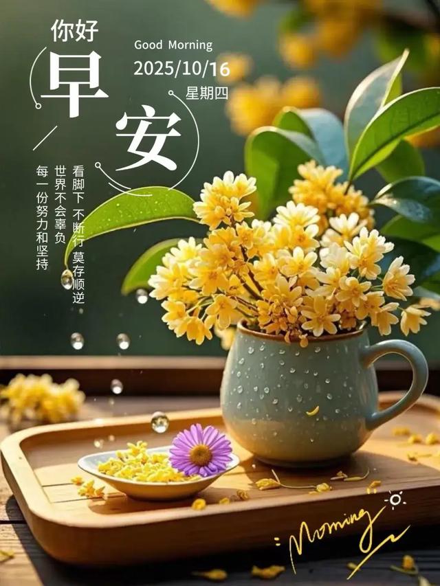 景区推出“秋日惠民活动”，游客直呼“玩得值”